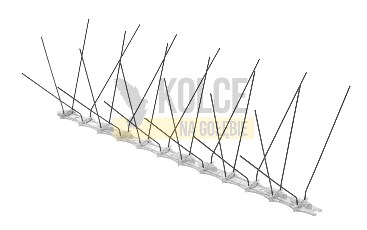 kolce na ptaki