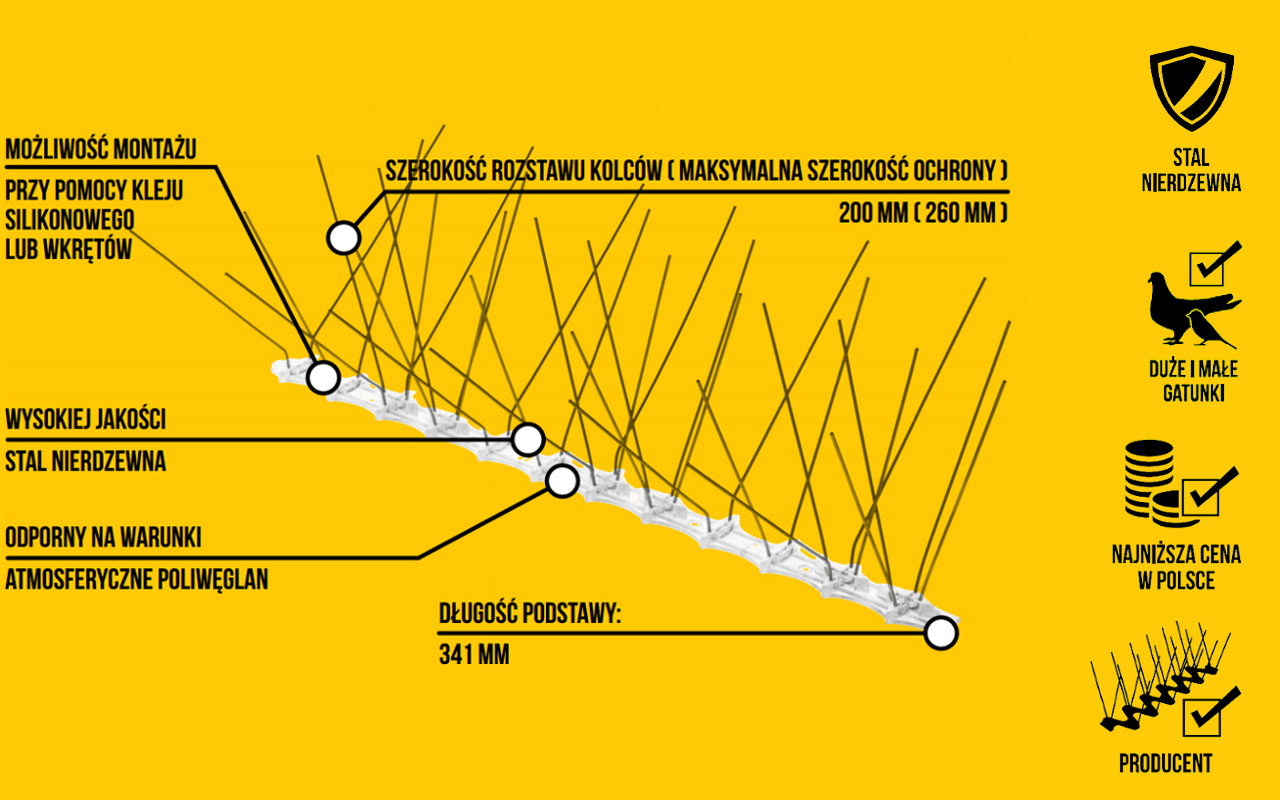 kolce przeciw ptakom